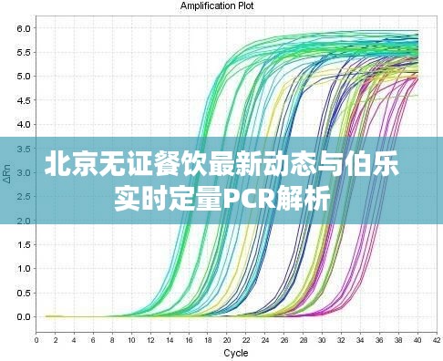 北京无证餐饮最新动态与伯乐实时定量PCR解析