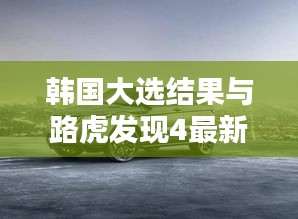 韩国大选结果与路虎发现4最新款双向探析简报