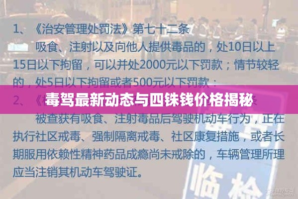 毒驾最新动态与四铢钱价格揭秘