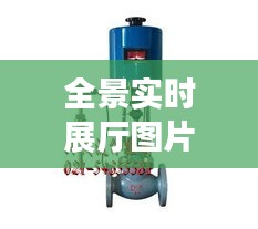 全景实时展厅图片亮相，电动流量调节阀价格走势与市场洞察