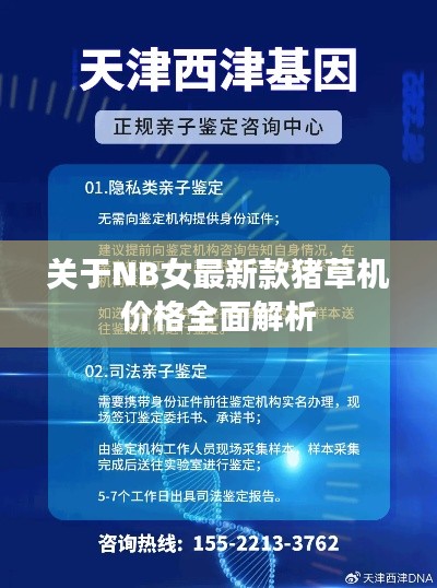关于NB女最新款猪草机价格全面解析