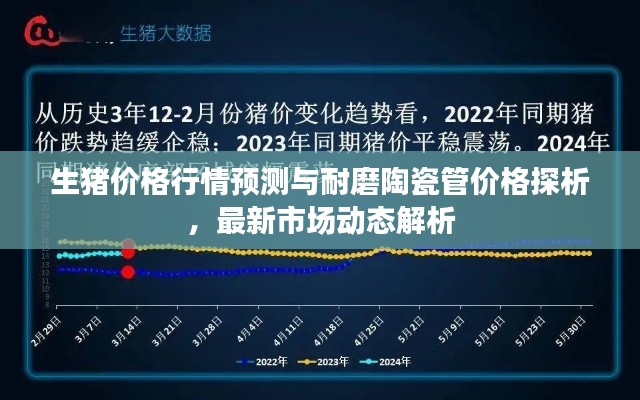 生猪价格行情预测与耐磨陶瓷管价格探析，最新市场动态解析