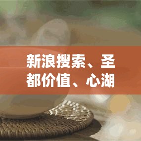 新浪搜索、圣都价值、心湖微澜的探寻之旅