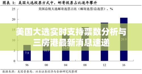 美国大选实时支持票数分析与三房港最新消息速递