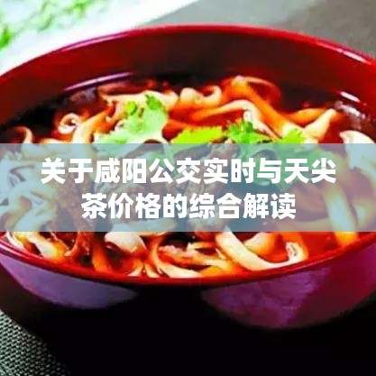 关于咸阳公交实时与天尖茶价格的综合解读