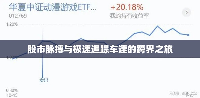 股市脉搏与极速追踪车速的跨界之旅