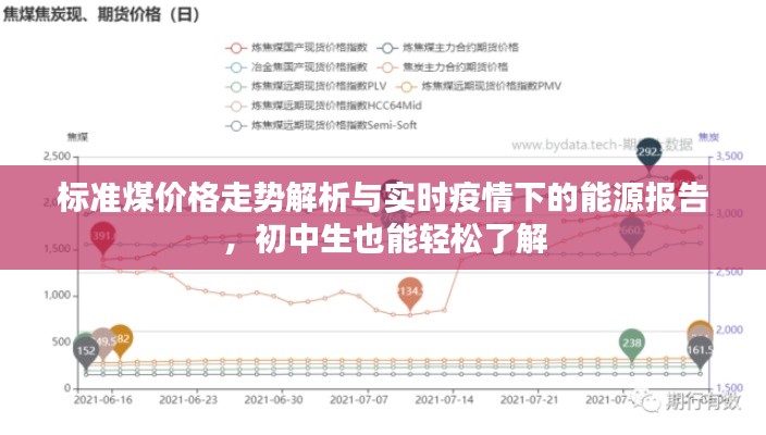 标准煤价格走势解析与实时疫情下的能源报告，初中生也能轻松了解