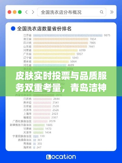 皮肤实时投票与品质服务双重考量，青岛洁神洗衣价格探讨