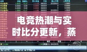 电竞热潮与实时比分更新，蒸包柜价格及图片全面解析