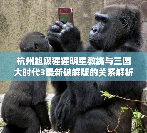 杭州超级猩猩明星教练与三国大时代3最新破解版的关系解析