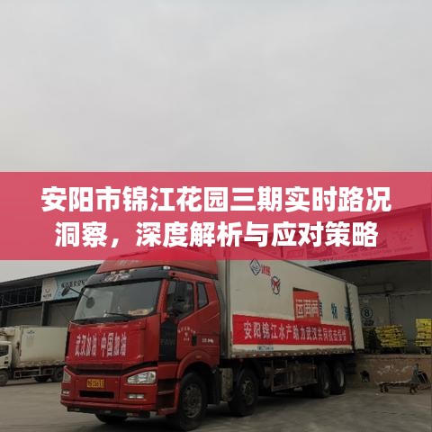 安阳市锦江花园三期实时路况洞察，深度解析与应对策略