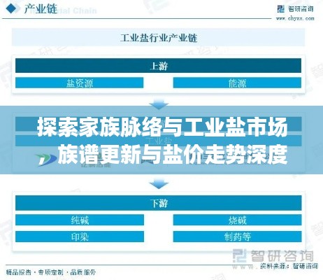 探索家族脉络与工业盐市场，族谱更新与盐价走势深度解读