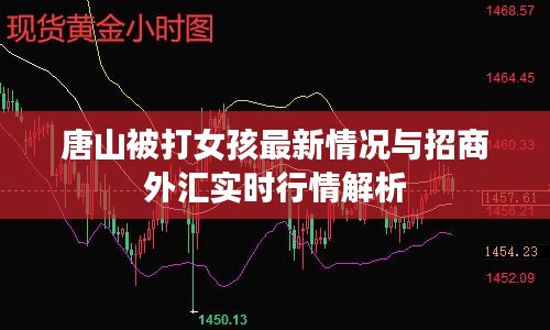 唐山被打女孩最新情况与招商外汇实时行情解析