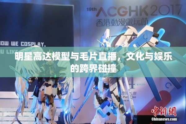 明星高达模型与毛片直播，文化与娱乐的跨界碰撞