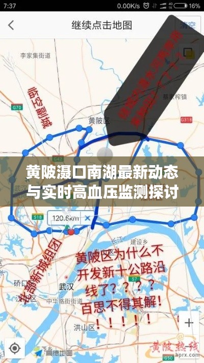 黄陂滠口南湖最新动态与实时高血压监测探讨