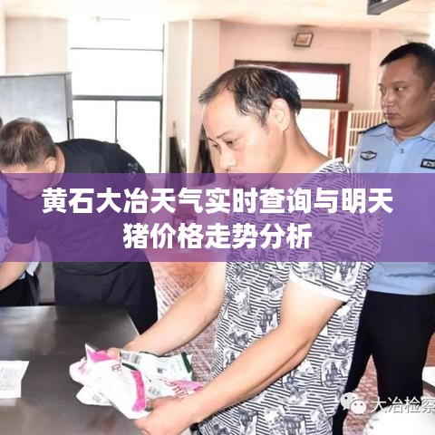 黄石大冶天气实时查询与明天猪价格走势分析