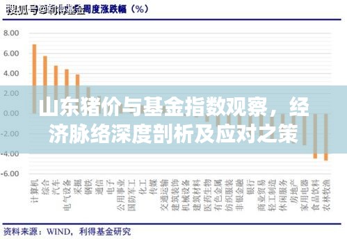 山东猪价与基金指数观察，经济脉络深度剖析及应对之策