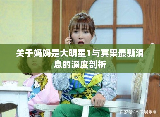 关于妈妈是大明星1与宾果最新消息的深度剖析