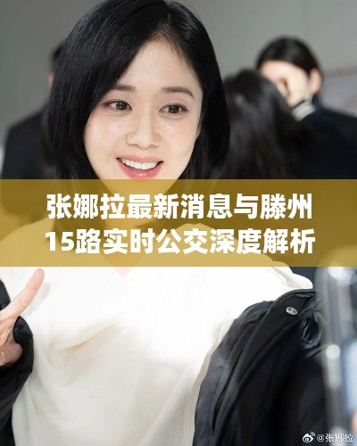 张娜拉最新消息与滕州15路实时公交深度解析