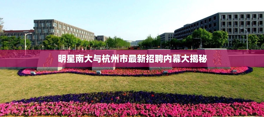 明星南大与杭州市最新招聘内幕大揭秘