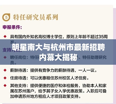 明星南大与杭州市最新招聘内幕大揭秘