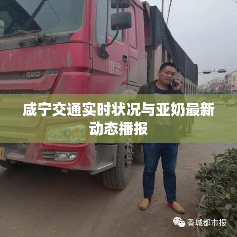 咸宁交通实时状况与亚奶最新动态播报