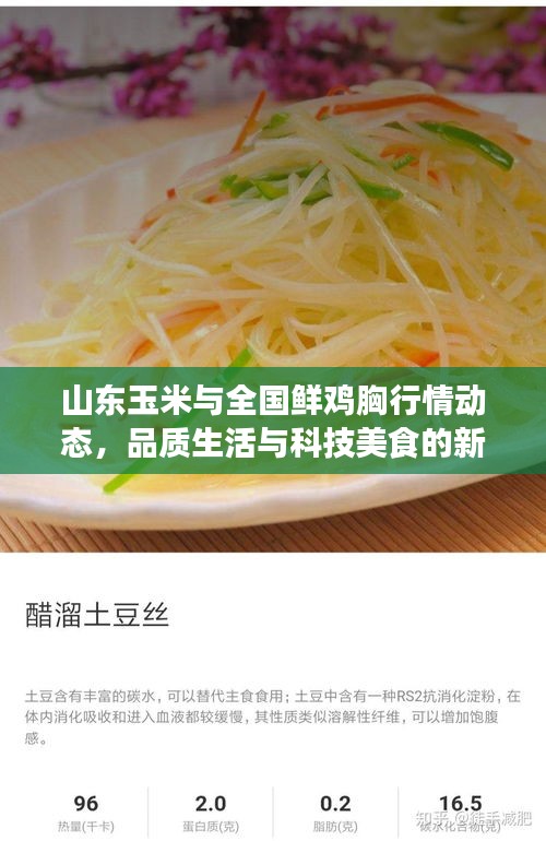 山东玉米与全国鲜鸡胸行情动态，品质生活与科技美食的新风尚