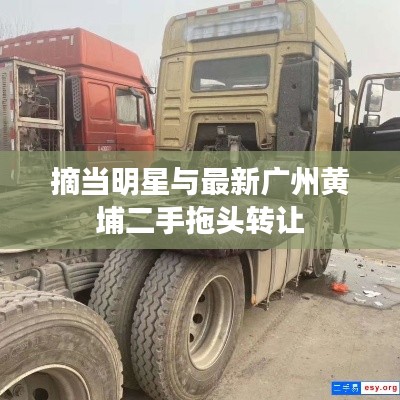 摘当明星与最新广州黄埔二手拖头转让