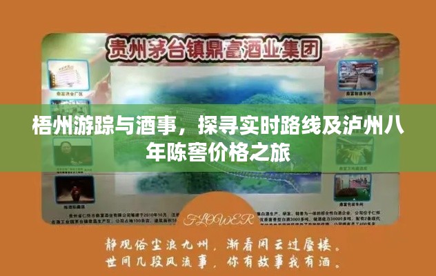 梧州游踪与酒事,探寻实时路线及泸州八年陈窖价格之旅