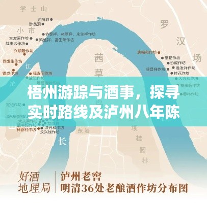 梧州游踪与酒事,探寻实时路线及泸州八年陈窖价格之旅