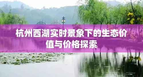 杭州西湖实时景象下的生态价值与价格探索