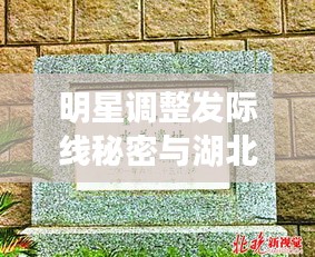 明星调整发际线秘密与湖北武汉防汛最新动态揭秘