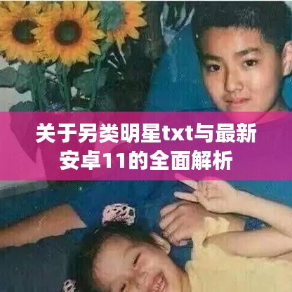 关于另类明星txt与最新安卓11的全面解析