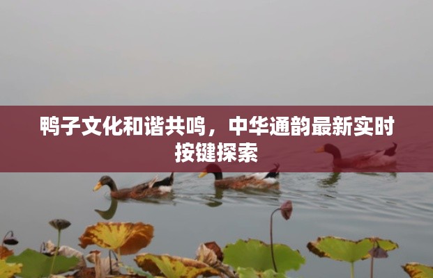鸭子文化和谐共鸣，中华通韵最新实时按键探索