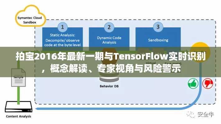 拍宝2016年最新一期与TensorFlow实时识别，概念解读、专家视角与风险警示