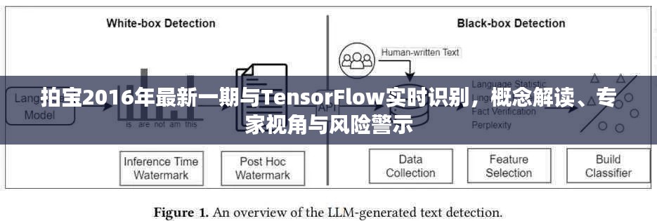 拍宝2016年最新一期与TensorFlow实时识别,概念解读、专家视角与风险警示