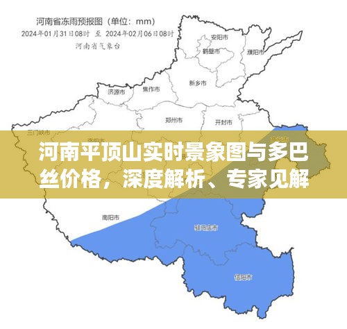 河南平顶山实时景象图与多巴丝价格，深度解析、专家见解与实用指南