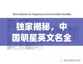 独家揭秘，中国明星英文名全攻略与今日二甲苯价格概览