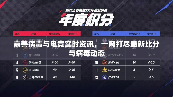 嘉善病毒与电竞实时资讯，一网打尽最新比分与病毒动态