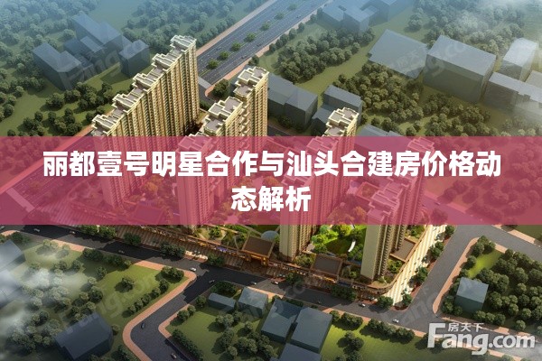 丽都壹号明星合作与汕头合建房价格动态解析