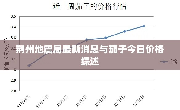 荆州地震局最新消息与茄子今日价格综述