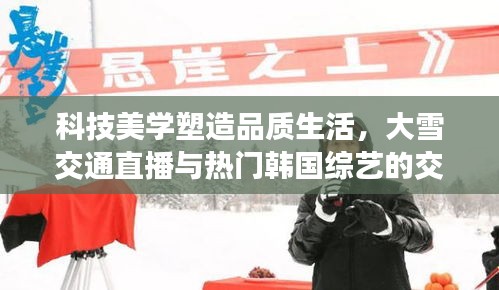 科技美学塑造品质生活,大雪交通直播与热门韩国综艺的交融