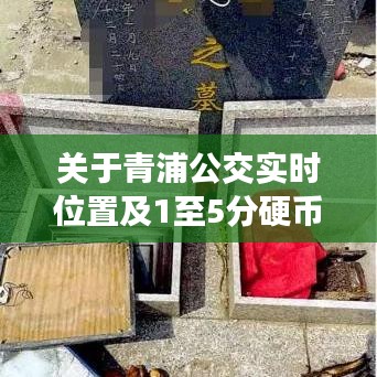 关于青浦公交实时位置及1至5分硬币收藏价格表的分析解读