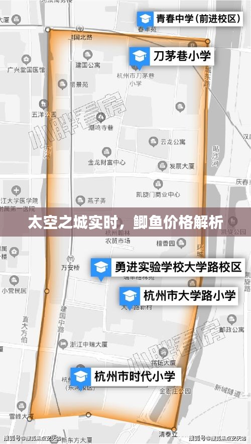 太空之城实时,鲫鱼价格解析