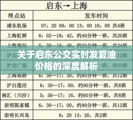 关于启东公交实时发夏油价格的深度解析