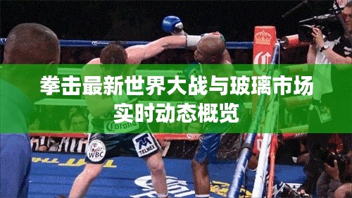 拳击最新世界大战与玻璃市场实时动态概览