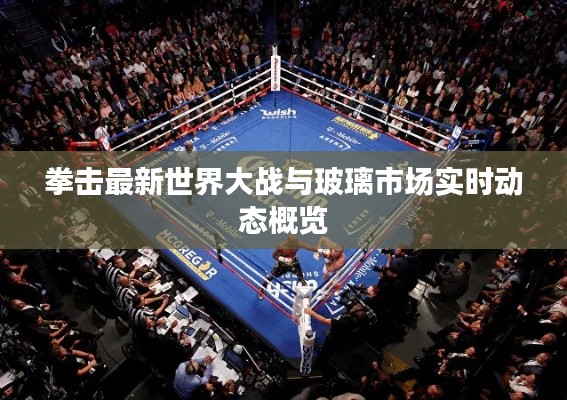 拳击最新世界大战与玻璃市场实时动态概览