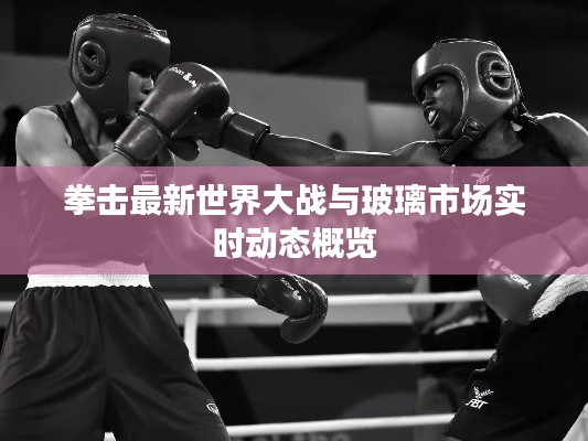 拳击最新世界大战与玻璃市场实时动态概览