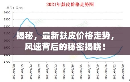 揭秘,最新麸皮价格走势,风速背后的秘密揭晓!