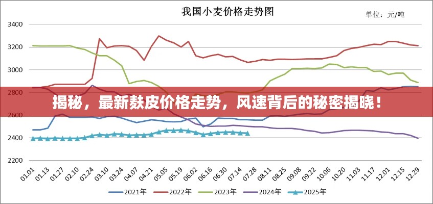 揭秘,最新麸皮价格走势,风速背后的秘密揭晓!